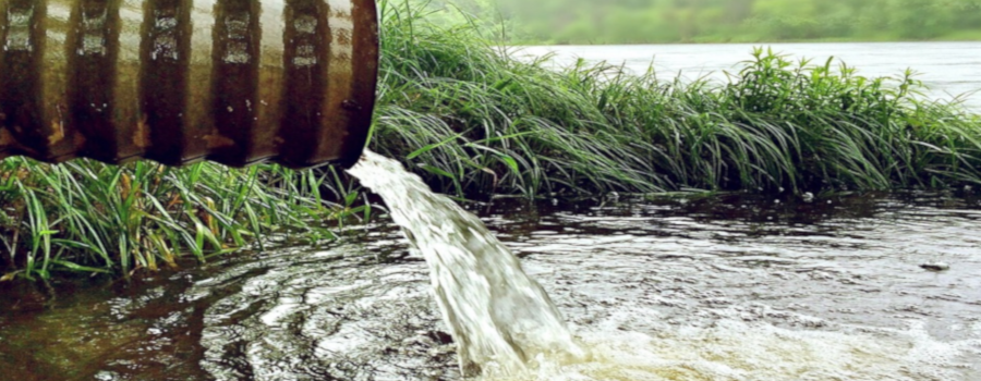 Imitando la depuración natural del agua: filtros verdes