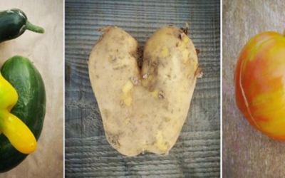 Misshapen potato
