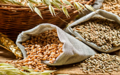 Cereales: ¿integrales, refinados o… mejorados?
