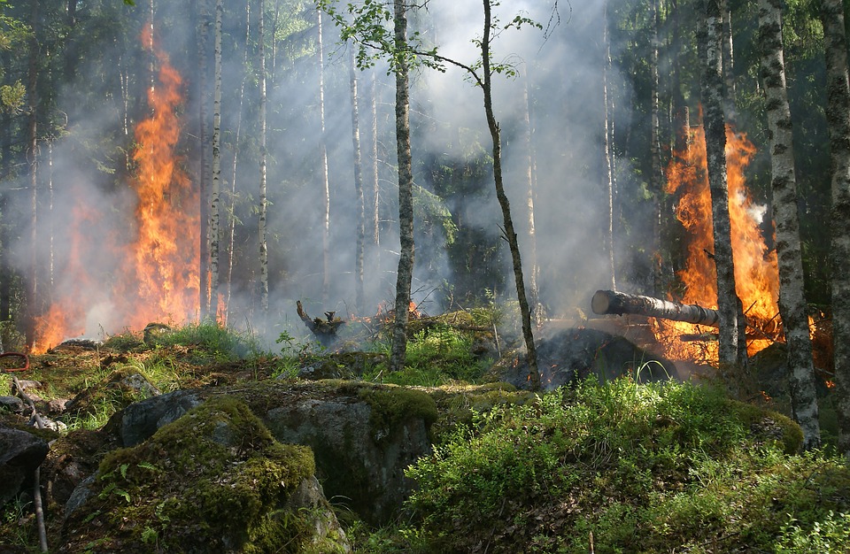 New strategies (and technologies) against huge forest fires