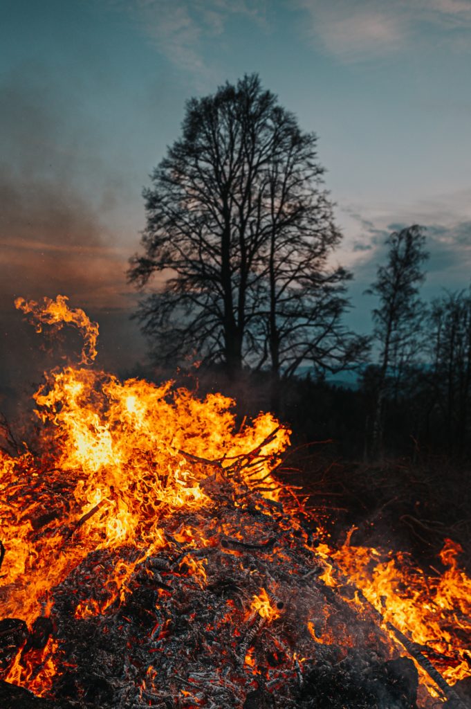 incendios forestales