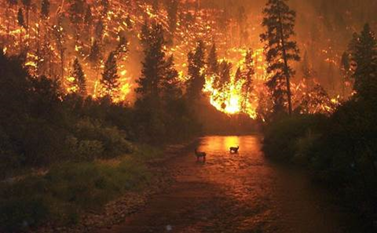 Incendio forestal en Bitterroot