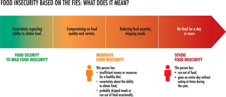 Food Insecurity Experience Scale
