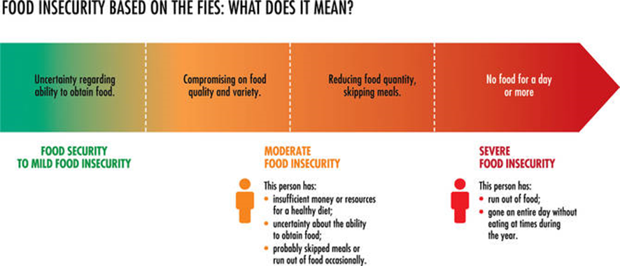 impact-of-food-insecurity-on-children-and-their-education-in-the-uk