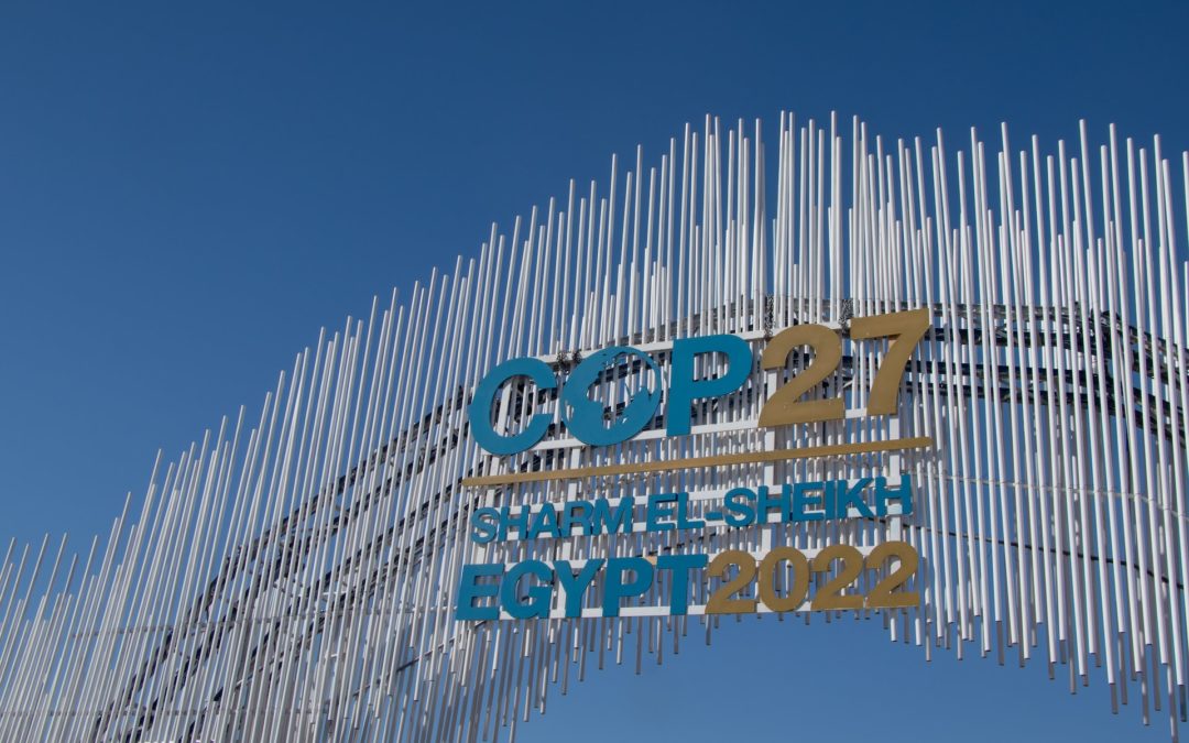 COP27: por qué te afectan las decisiones sobre el cambio climático tomadas en esta cumbre