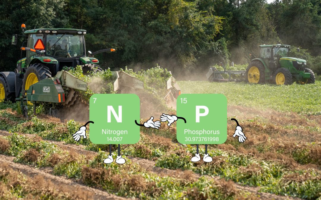 Nitrogen and Phosphorus, the agronomic macronutrients par excellence