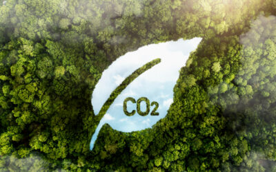 El CO2 biogénico: retos y oportunidades para un futuro sostenible