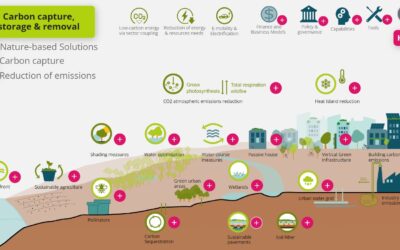 Solution Bundles: Una herramienta en el camino hacia la neutralidad climática