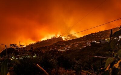 Incendios forestales en España: una abrasadora realidad alimentada por el Cambio Climático