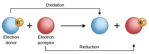 Redox reactions