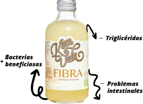 Beneficios de la Kombucha fibra de Komvida