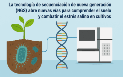 Aliados invisibles frente a la salinidad: microbiota y secuenciación para una agricultura resiliente