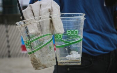 Cuando el verde no viene de aplicar un ACV, sino solo del Pantone®