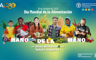 #DíaMundialdelaAlimentación; ¿Cómo puedo ayudar?